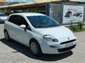 FIAT Punto 1.2 8V 5p. Street