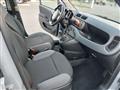 FIAT PANDA 1.2 Unico proprietario km 79000 Clima Sensori