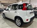 FIAT PANDA 1.0 FireFly S&S Hybrid CityLife 5 POSTI/OK NEOPATE