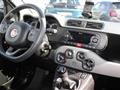 FIAT Panda 1.0 firefly hybrid City Life s&s 70cv