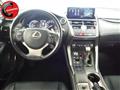 LEXUS NX Hybrid 4WD Luxury