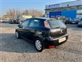 FIAT PUNTO 1.2 8V 5 porte Lounge+GPL+NEOPATENTATI