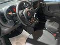 FIAT PANDA CROSS Panda Cross 1.0 FireFly S&S Hybrid