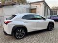 LEXUS UX Hybrid Business