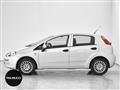 FIAT PUNTO 1.2 8V 5 porte Easy