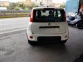 FIAT PANDA 1.0 FireFly S&S Hybrid KM 0