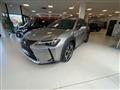 LEXUS UX Hybrid Luxury