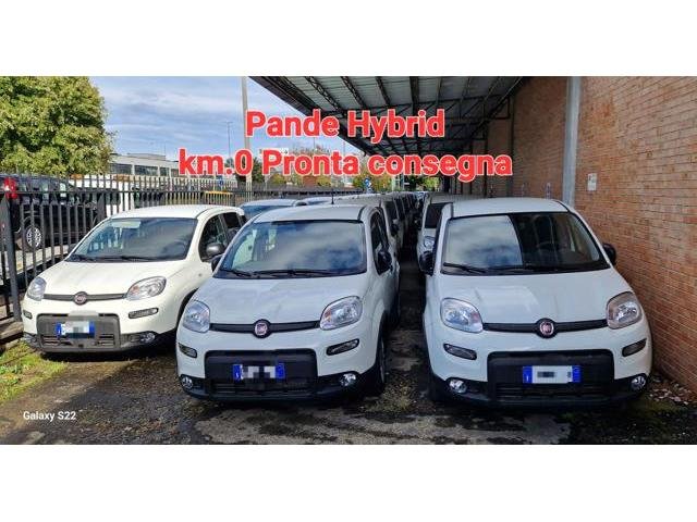 FIAT PANDA 1.0 FireFly S&S Hybrid km.0