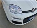 FIAT PANDA III 2016 1.2 Easy s&s 69cv my19