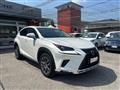 LEXUS NX Hybrid Business 197CV 4wd