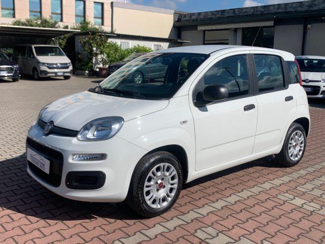 FIAT PANDA 1.2  S.&S.  E6D-TEMP EASY 5 POSTI GUIDABILE NEOPA