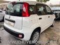 FIAT PANDA 1.2 Easy + GPL