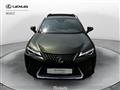 LEXUS UX Hybrid Business