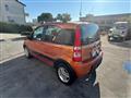 FIAT PANDA RECANATI - NEOPATENTATI - 1.2 Climbing Nat. Power