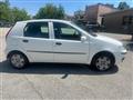 FIAT PUNTO 1.2 5 porte Cult