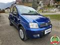 FIAT PANDA 1.2 4x4 Climbing  NEOPATENTATO