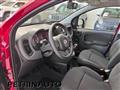 FIAT PANDA 1.0 FireFly S&S Hybrid Km.0