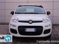 FIAT PANDA 1.2 69cv S&S Easy