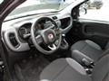 FIAT PANDA 1.2 69cv NEOPATENTATI