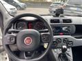 FIAT PANDA CROSS Panda 1.0 firefly hybrid City Cross s