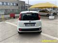 FIAT PANDA 1.2 Easy S&S - EURO 6 - OK NEOPATENTATI