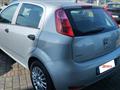 FIAT PUNTO 1.2 8V 5 porte Street