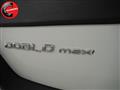 FIAT DOBLÒ 1.6 MJT PL-TN  Maxi Lounge (+ frigo + IVA)