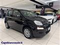 FIAT PANDA 1.0 FireFly S&S Hybrid+5 posti--10.900KM