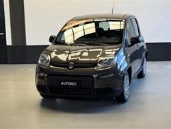 FIAT PANDA 1.0 FireFly S&S Hybrid per neopatentati