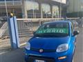 FIAT PANDA 1.0 FireFly S&S Hybrid Pandina