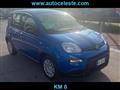 FIAT PANDA 1.0 FireFly S&S Hybrid Pandina