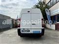 FIAT SCUDO Coibentato Isotermico Frigorifero