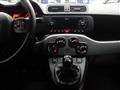 FIAT Panda 1.0 BZ 70 CV FIREFLY HYBRID CITY CROSS