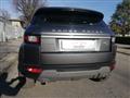 LAND ROVER RANGE ROVER EVOQUE 2.0 eD4 5p. Business Edition Premium Pure