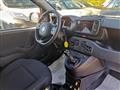 FIAT PANDA CROSS 1.0cc HYBRID MY24 70cv ANDROID/CARPLAY