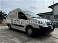 FIAT SCUDO Coibentato Isotermico Frigorifero