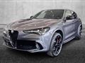 ALFA ROMEO STELVIO 2.9 Bi-Turbo V6 520 CV AT8 Q4 Quadrifoglio