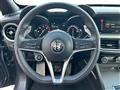 ALFA ROMEO STELVIO 2.2 Turbodiesel 210 CV AT8 Q4 Super