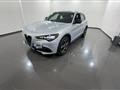 ALFA ROMEO STELVIO 2.2 TD 210CV AT8 Q4 Sprint MY23 #VARI COLORI