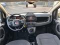 FIAT PANDA CROSS Panda Cross 1.0 FireFly S&S Hybrid