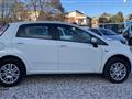 FIAT PUNTO 1.4 8V 5 porte Natural Power Pop