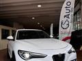 ALFA ROMEO STELVIO 2.2 Turbodiesel 210 CV AT8 Q4 Executive