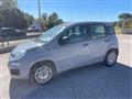 FIAT PANDA 1.2 Trussardi