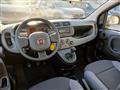 FIAT PANDA CROSS Cross Gpl/B 1.0 FireFly S&S