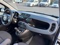 FIAT PANDA 1.2 69cv S&S E6d-Temp Easy