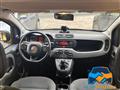 FIAT PANDA 1.0 FireFly S&S Hybrid City Cross 70 cv