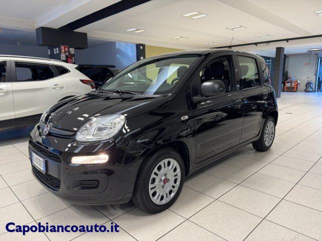 FIAT PANDA 1.0 FireFly S&S Hybrid+5 posti--10.900KM