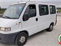 FIAT DUCATO 2500 Tdi Panorama 9 Posti