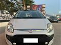 FIAT PUNTO 1.3 Mjt 75 CV DPF 5 porte S&S Dynamic