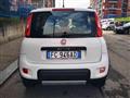 FIAT PANDA 1.3 MJT 4x4 75 CV